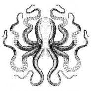 Octopiss